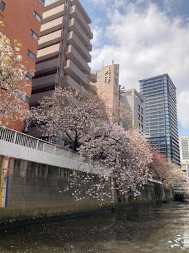 東京ウォータウェイズに投稿された画像（2025/4/8）