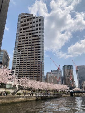 東京ウォータウェイズに投稿された画像（2025/4/8）