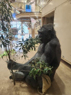 名古屋市東山動植物園に投稿された画像（2025/4/8）