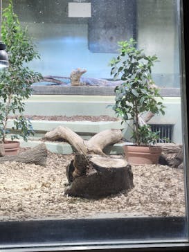 名古屋市東山動植物園に投稿された画像（2025/4/8）