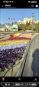 安城産業文化公園デンパークに投稿された画像（2025/4/8）