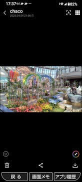 安城産業文化公園デンパークに投稿された画像（2025/4/8）