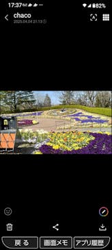 安城産業文化公園デンパークに投稿された画像（2025/4/8）