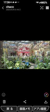 安城産業文化公園デンパークに投稿された画像（2025/4/8）