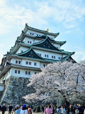 名古屋城に投稿された画像（2025/4/8）