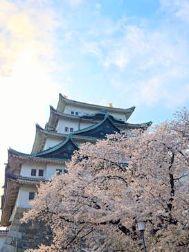 名古屋城に投稿された画像（2025/4/8）
