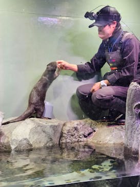 マクセル アクアパーク品川に投稿された画像（2025/4/8）