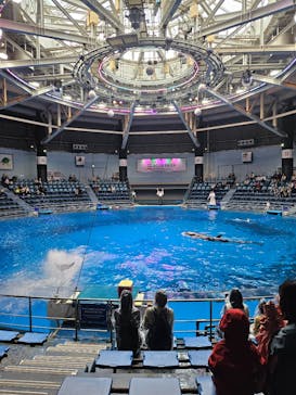 マクセル アクアパーク品川に投稿された画像（2025/4/8）