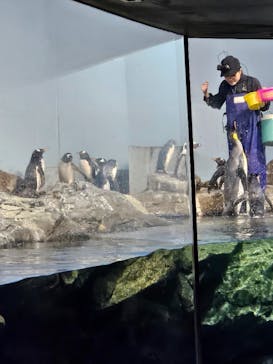 マクセル アクアパーク品川に投稿された画像（2025/4/8）