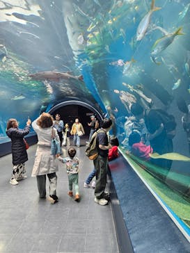 マクセル アクアパーク品川に投稿された画像（2025/4/8）