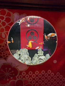 NARA KINGYO MUSEUMに投稿された画像（2025/4/8）