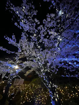 ひらかたパークに投稿された画像（2025/4/8）