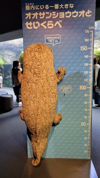 京都水族館に投稿された画像（2025/4/8）