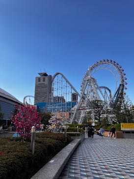 東京ドームシティ アトラクションズに投稿された画像（2025/4/8）