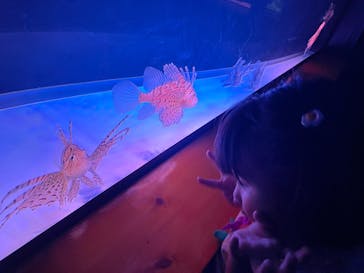 ハーモニーランドに投稿された画像（2025/4/8）