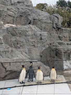 葛西臨海水族園に投稿された画像（2025/4/8）