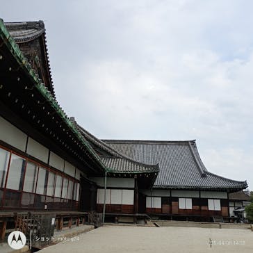 元離宮二条城に投稿された画像（2025/4/8）