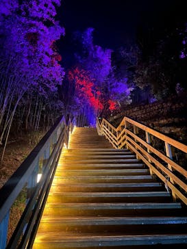 ニジゲンノモリに投稿された画像（2025/4/8）