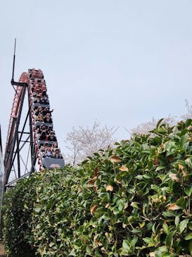 みろくの里に投稿された画像（2025/4/8）