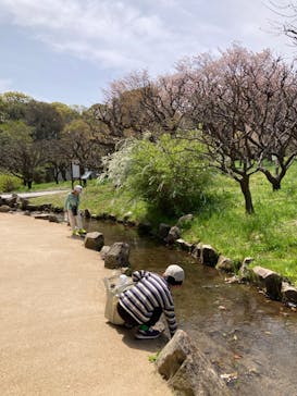 万博記念公園に投稿された画像（2025/4/8）