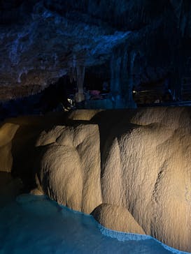 おきなわワールドに投稿された画像（2025/4/9）