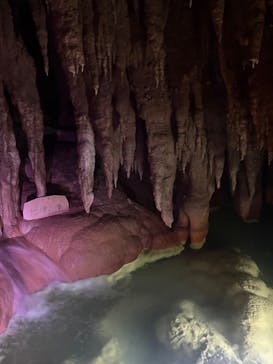 おきなわワールドに投稿された画像（2025/4/9）