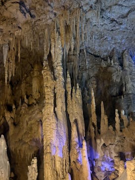 おきなわワールドに投稿された画像（2025/4/9）