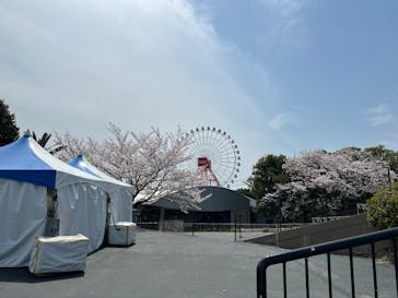 鈴鹿サーキットに投稿された画像（2025/4/9）