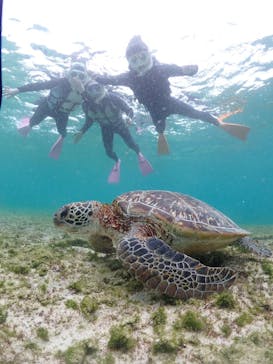 宮古島マリンショップSmileyに投稿された画像（2025/4/9）