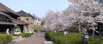 博物館 明治村に投稿された画像（2025/4/9）