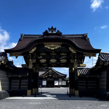 元離宮二条城に投稿された画像（2025/4/9）