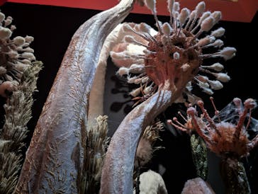 金曜ロードショーとジブリ展　三重展に投稿された画像（2025/4/9）