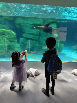 天王寺動物園に投稿された画像（2025/4/8）