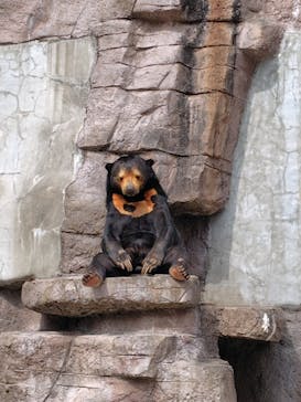 天王寺動物園に投稿された画像（2025/4/8）