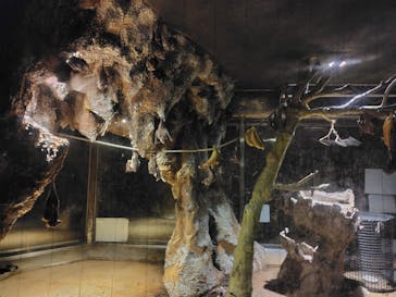 天王寺動物園に投稿された画像（2025/4/8）