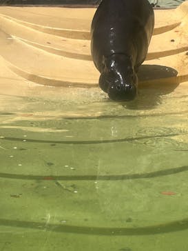 恩賜上野動物園に投稿された画像（2025/4/9）