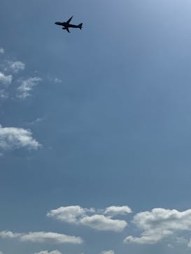 Sea World（シーワールド）に投稿された画像（2025/4/9）