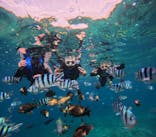 沖縄マリンサービス碧に投稿された画像（2025/4/9）