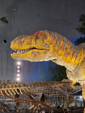 福井県立恐竜博物館に投稿された画像（2025/4/9）