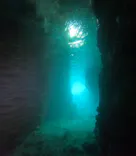 武藤潜水に投稿された画像（2025/4/9）