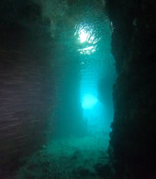 武藤潜水に投稿された画像（2025/4/9）