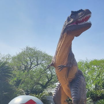 伊豆ぐらんぱる公園に投稿された画像（2025/4/9）