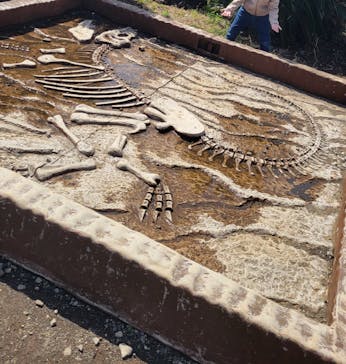 伊豆ぐらんぱる公園に投稿された画像（2025/4/9）