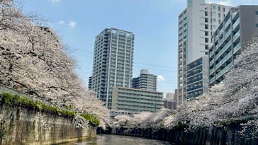 東京ウォータウェイズに投稿された画像（2025/4/9）