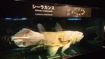 環境水族館アクアマリンふくしまに投稿された画像（2025/4/9）