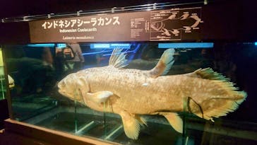 環境水族館アクアマリンふくしまに投稿された画像（2025/4/9）