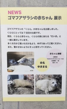 環境水族館アクアマリンふくしまに投稿された画像（2025/4/9）