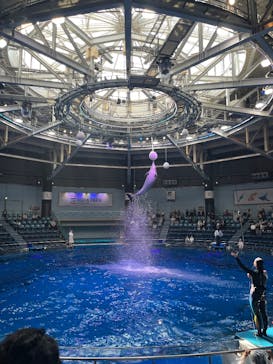 マクセル アクアパーク品川に投稿された画像（2025/4/9）