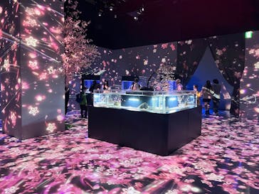 マクセル アクアパーク品川に投稿された画像（2025/4/9）