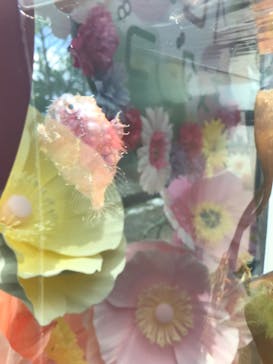 環境水族館アクアマリンふくしまに投稿された画像（2025/4/9）